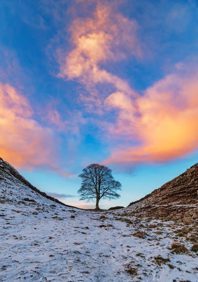 Stevielandscapes 2026 calendar of north east England with free A5 Print of Sycamore Gap in the golden hour.