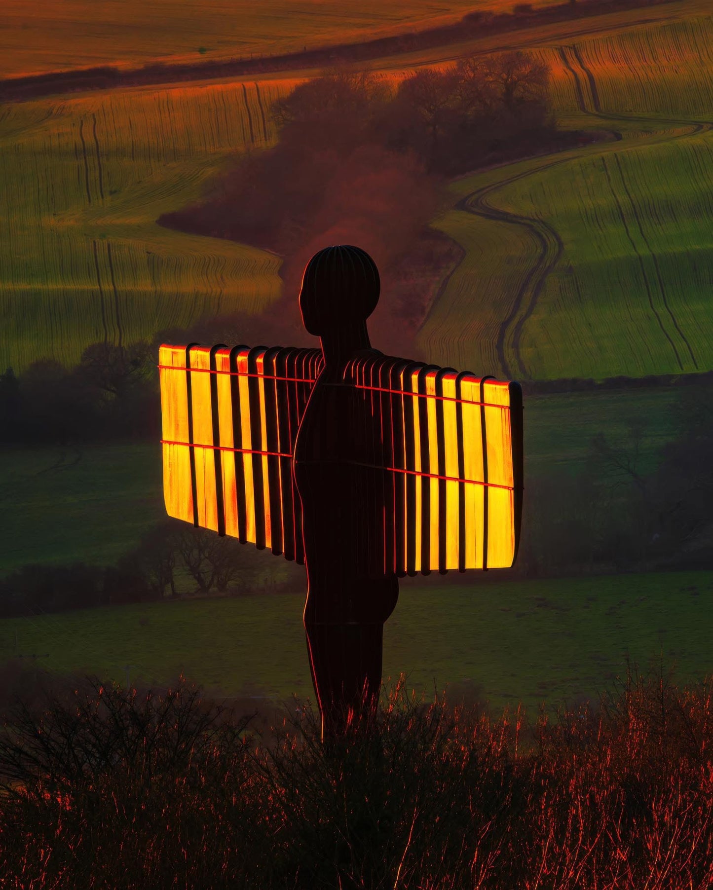 Angel sunset glow.