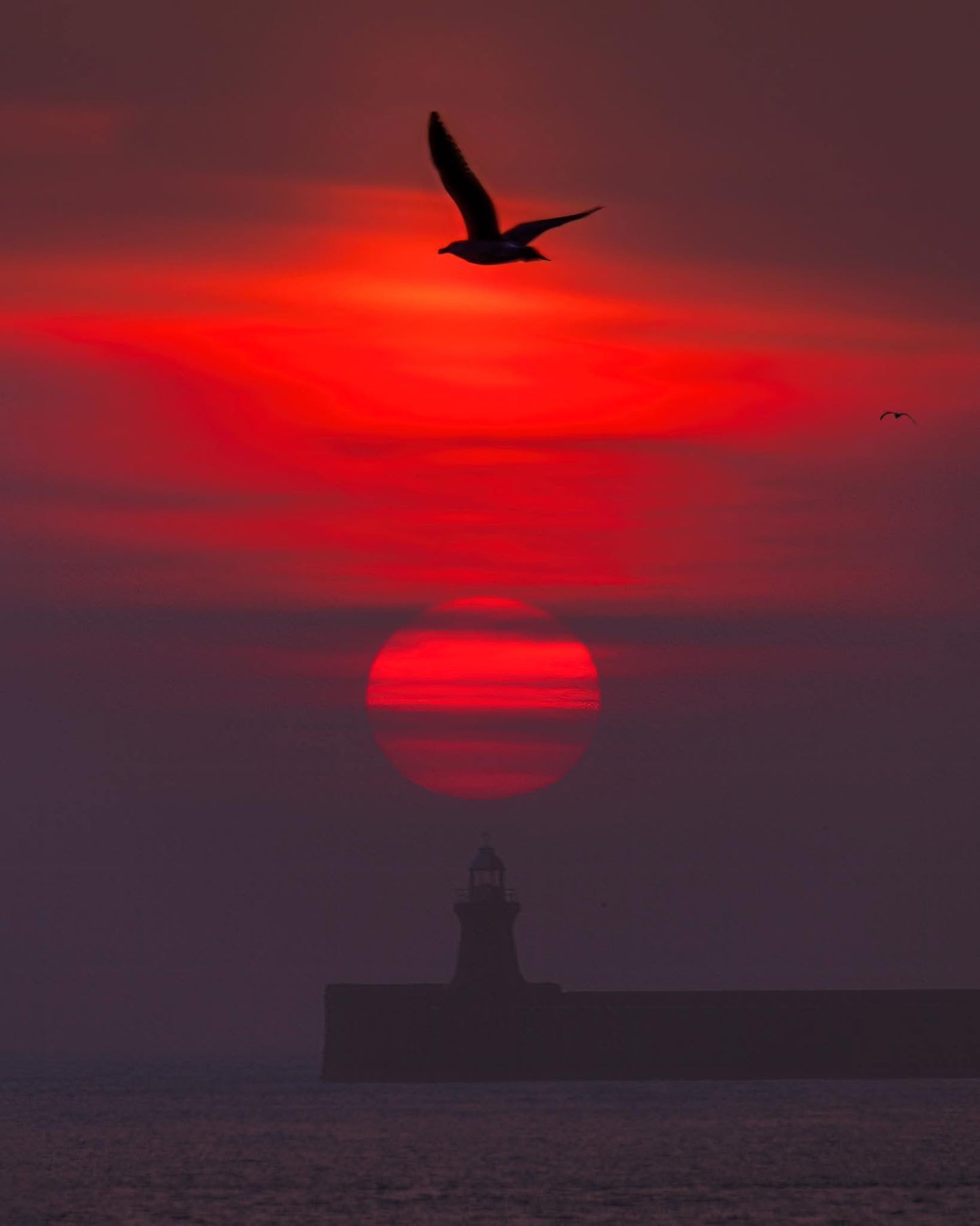 Beautiful muted red sun over South Shields lighthouse.