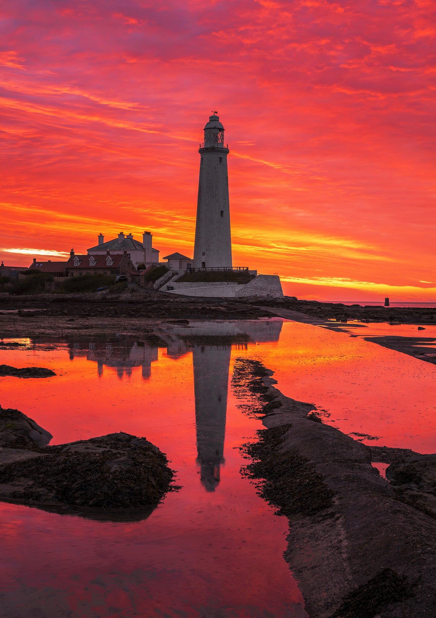 Glorious sunrise colours at St. Mary’s lighthouse.