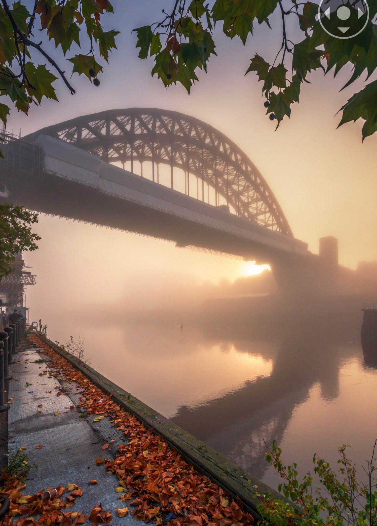 A stunning autumn scene in Newcastle.