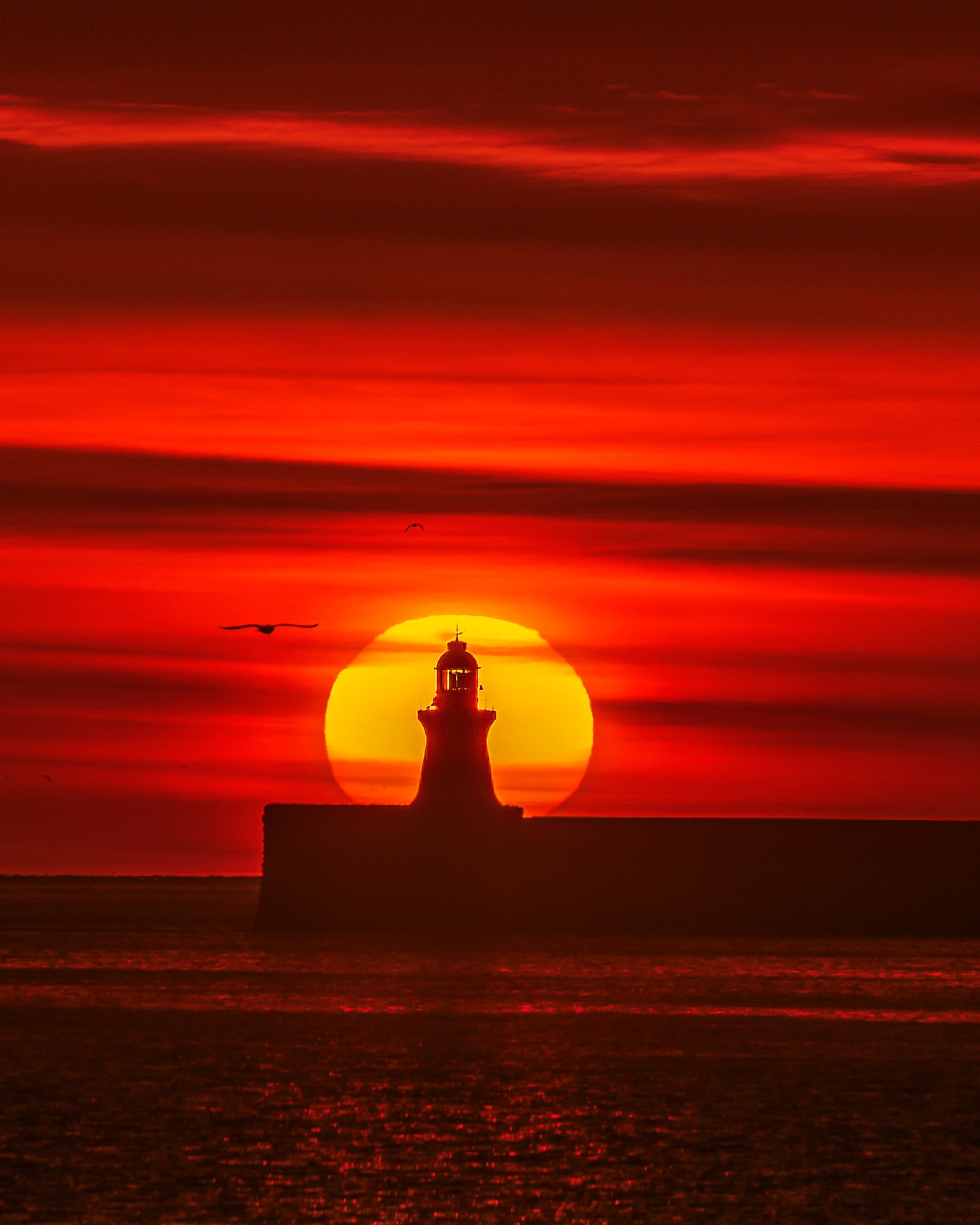 Beautiful sunrise over South Shields lighthouse.