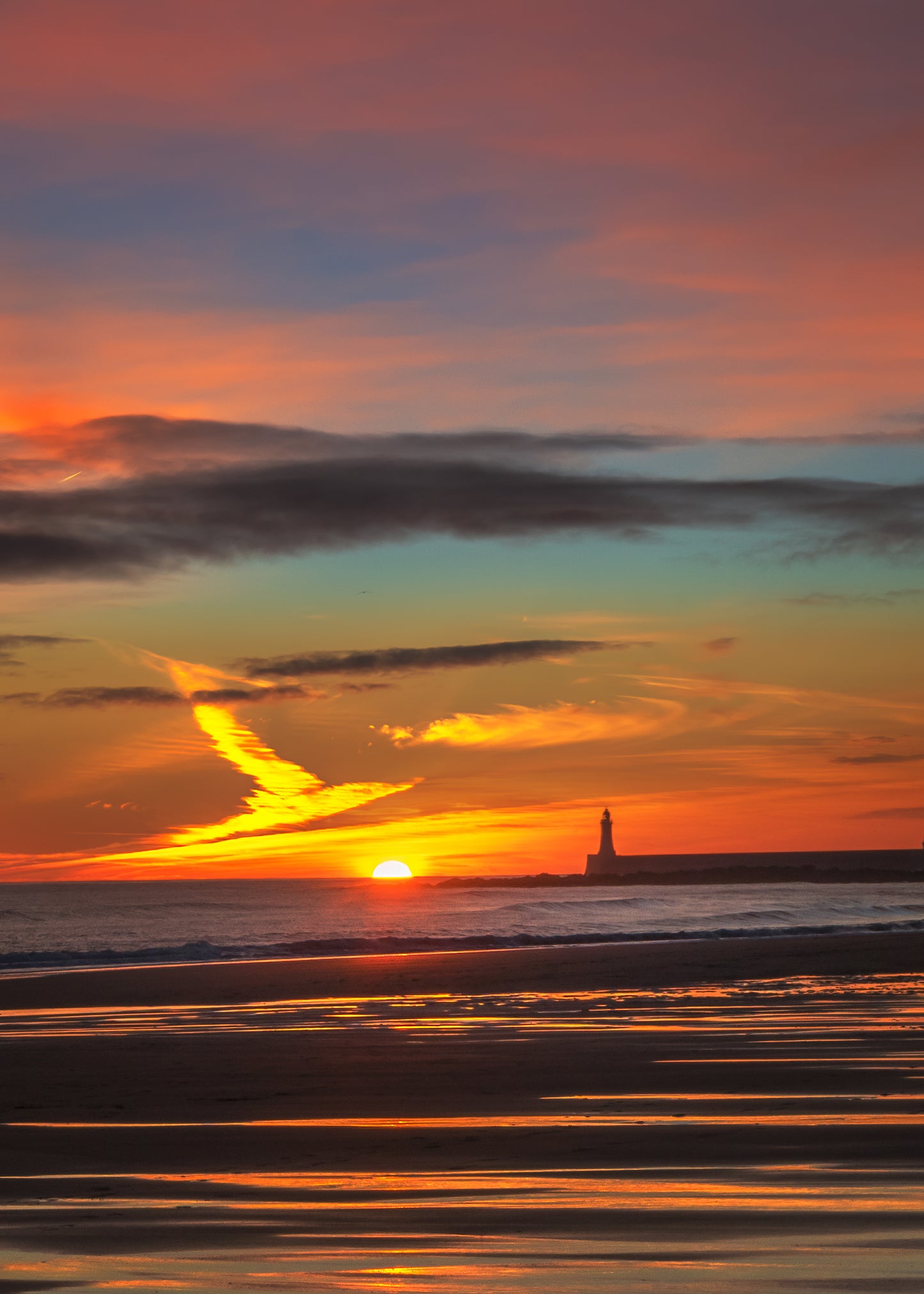 Sunrise bird in the clouds at Tynemouth.