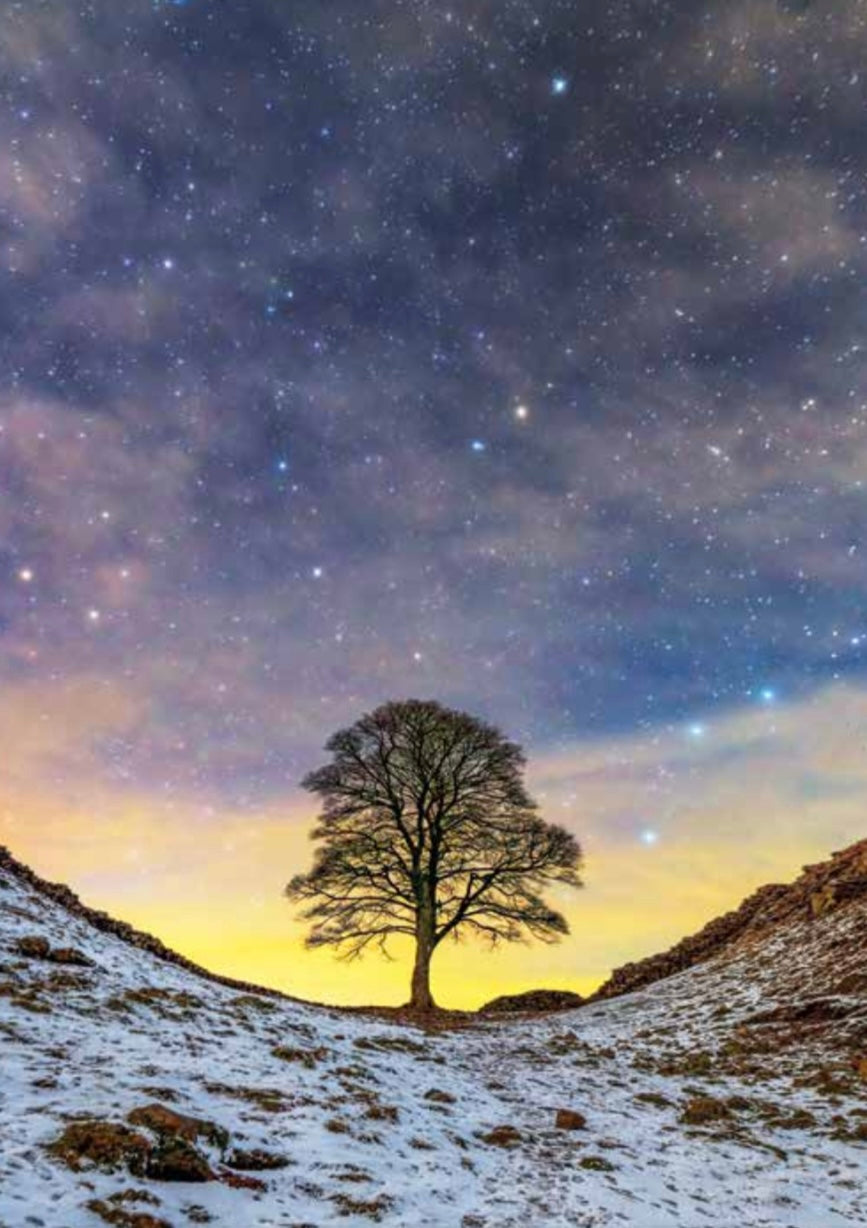 Starry Starry Night at Sycamore gap.