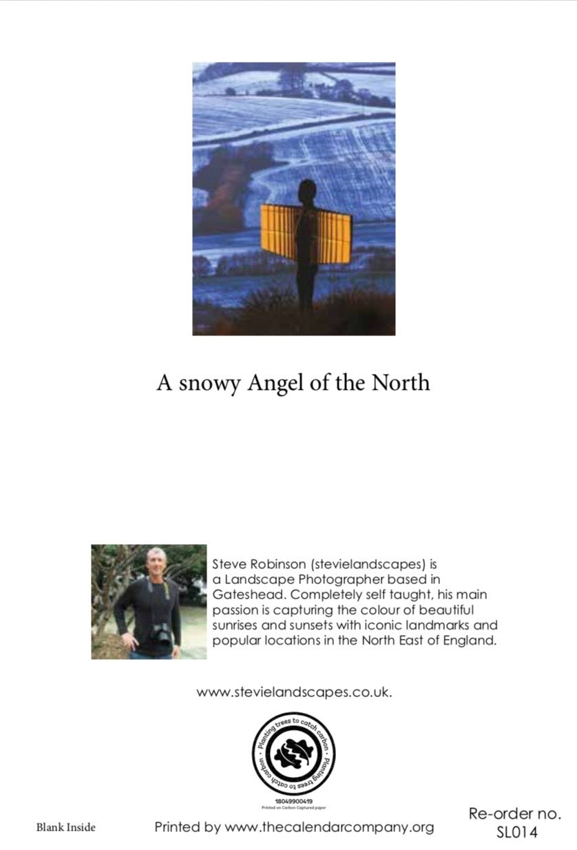 A Snowy Angel of the North.