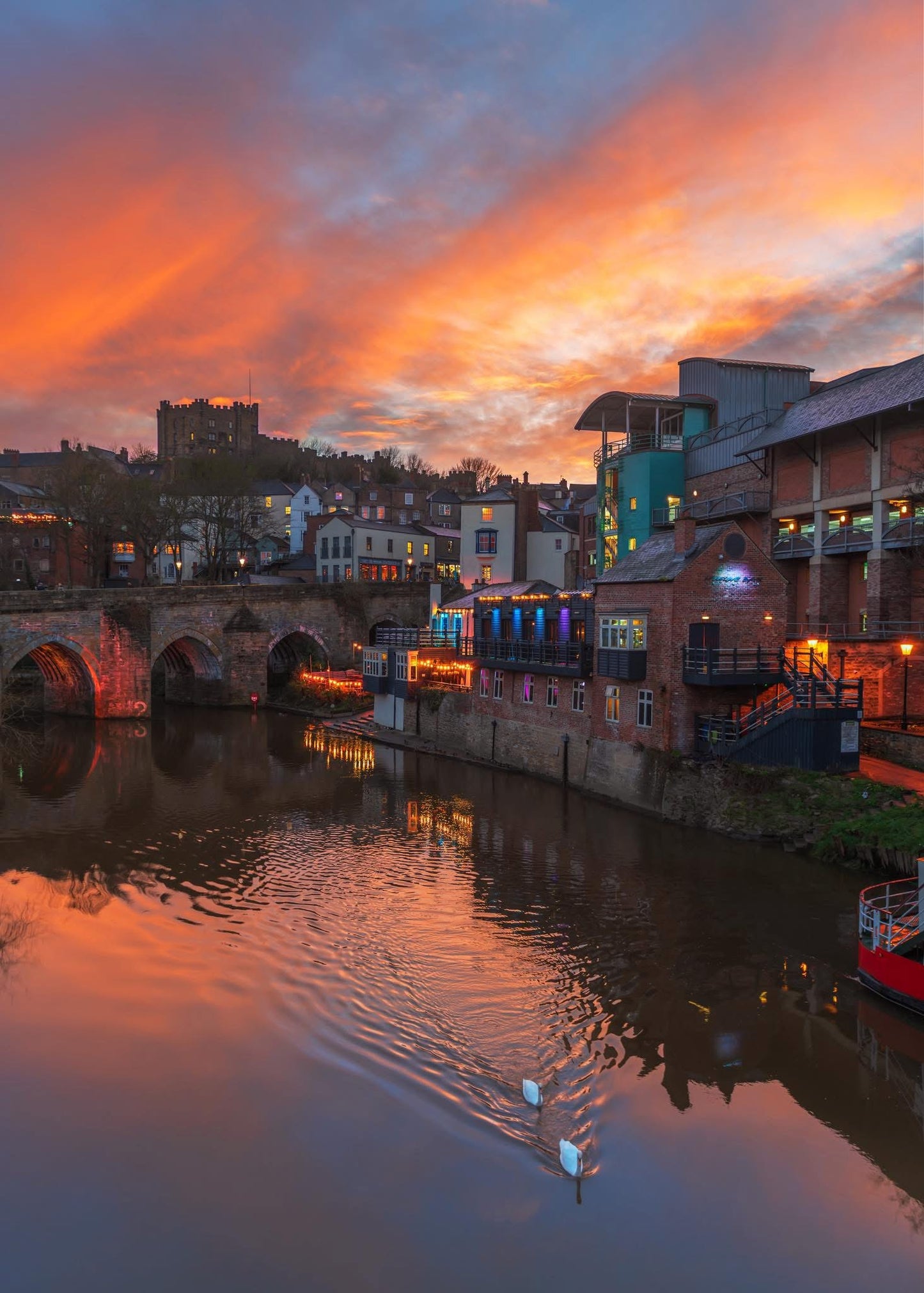 Durham Sunset Swans