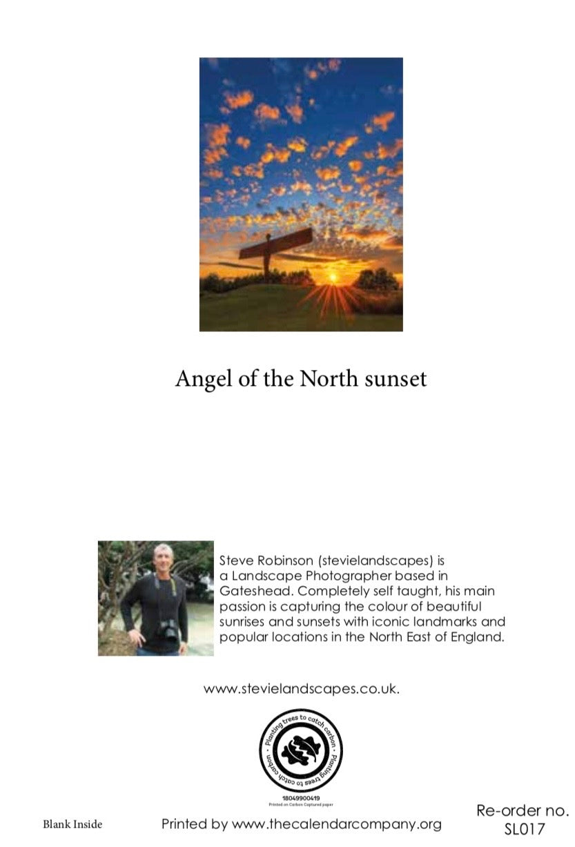 Angel of the North Sunset