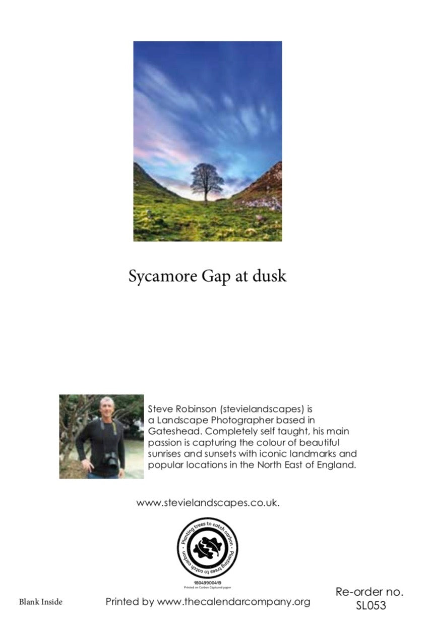 Sycamore Gap at Dusk