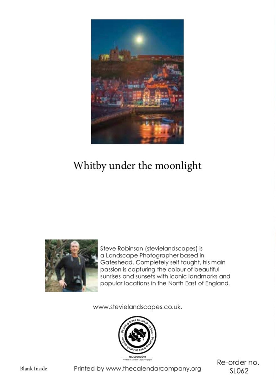 Whitby under the moonlight