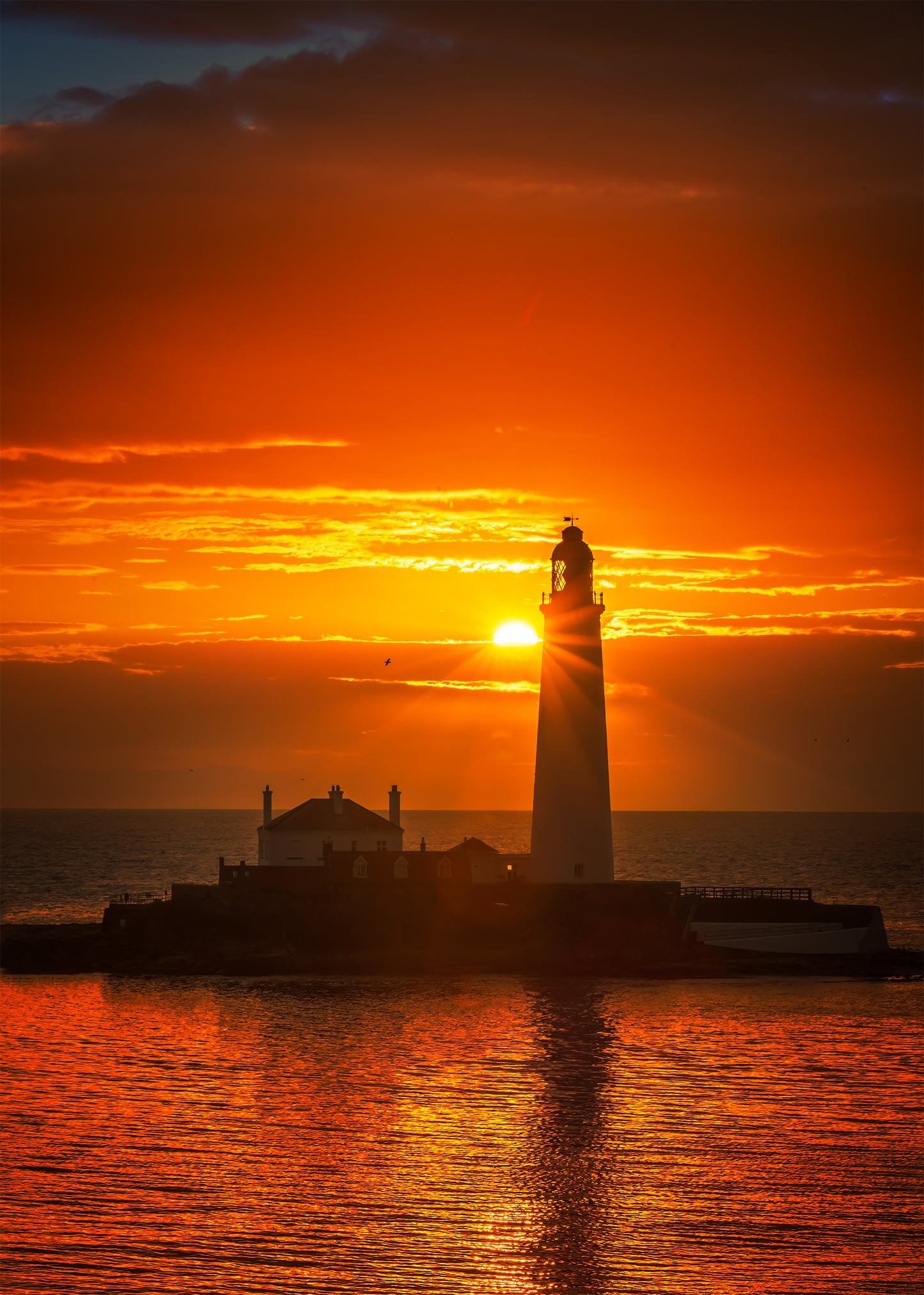 A golden sunrise by St. Mary’s Lighthouse.