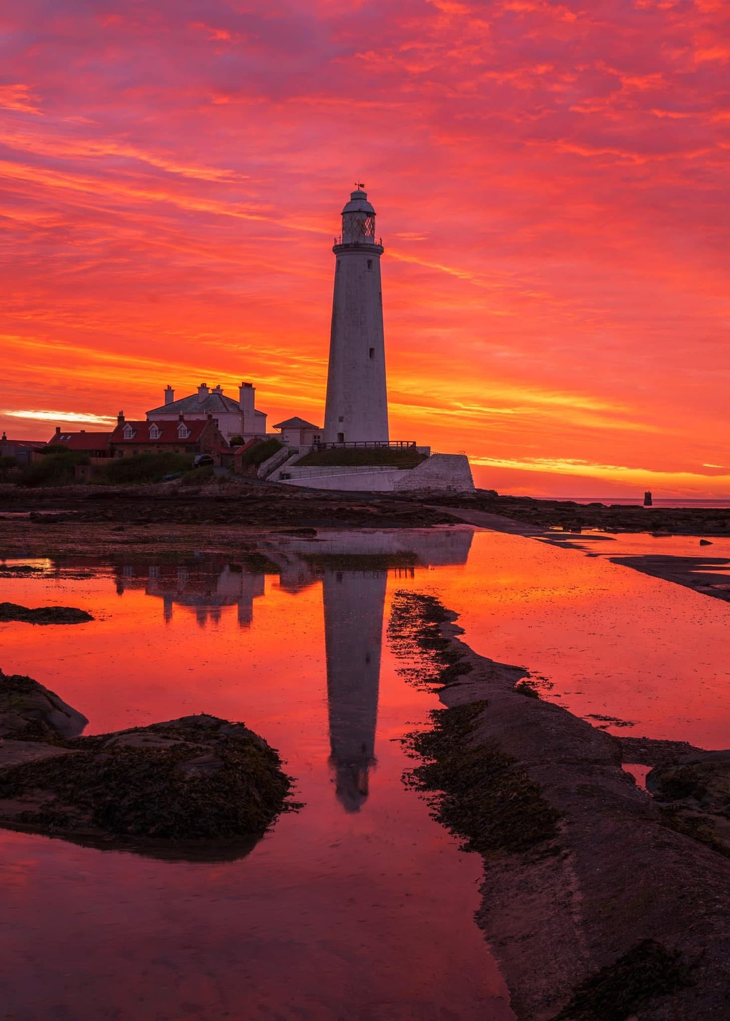Glorious sunrise colours at St. Mary’s lighthouse.