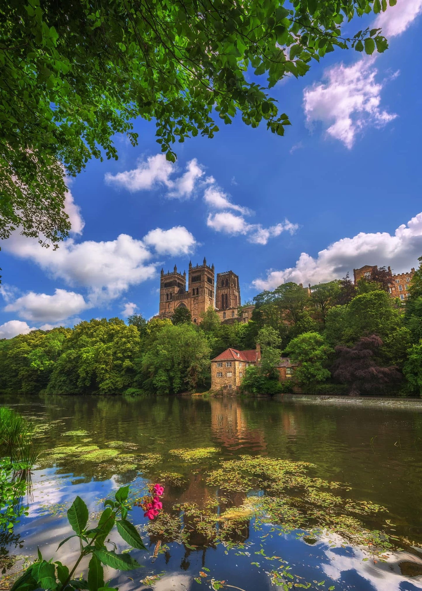 Beautiful Durham in the summer.