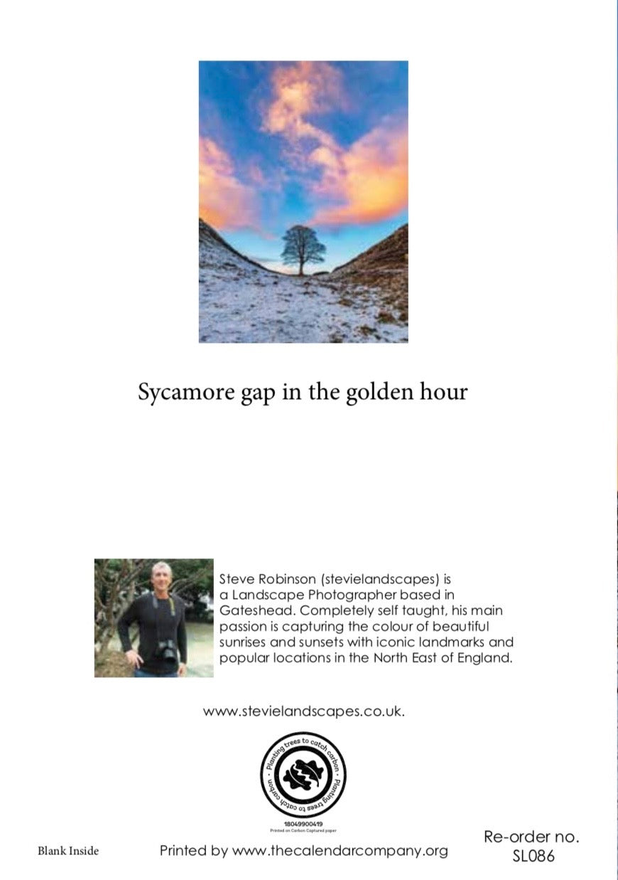 Sycamore Gap in the golden hour.
