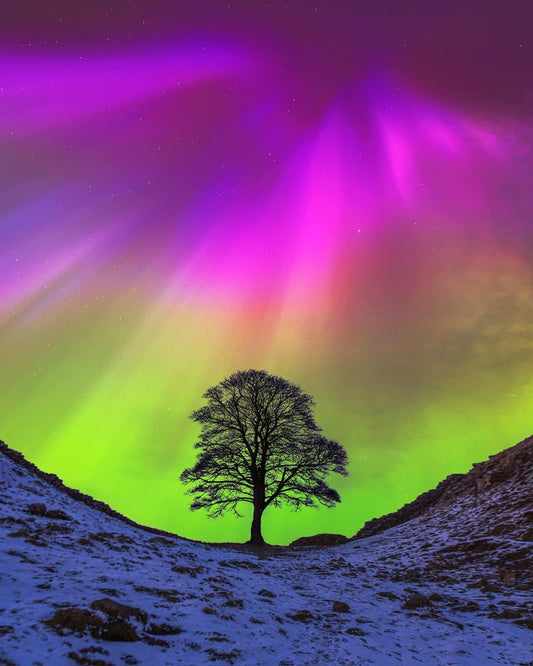 Imagined Aurora at Sycamore Gap.