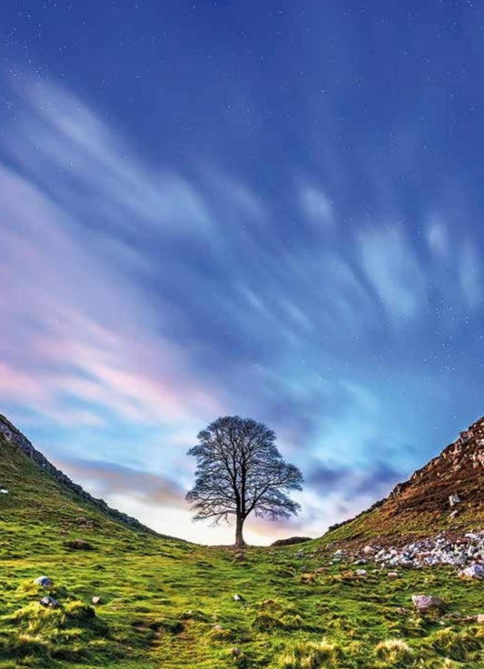 Sycamore Gap at Dusk