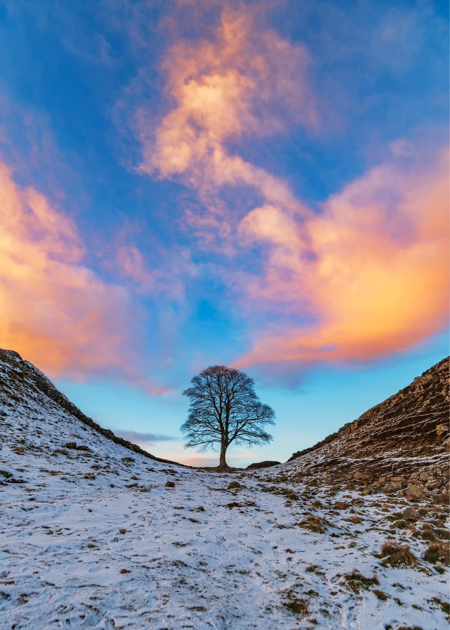 Sycamore Gap in the golden hour.