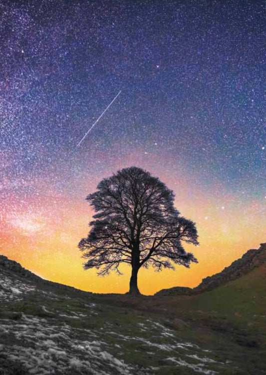 Shooting Stars at Sycamore Gap