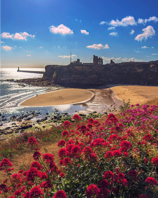 A beautiful Tynemouth Morning.
