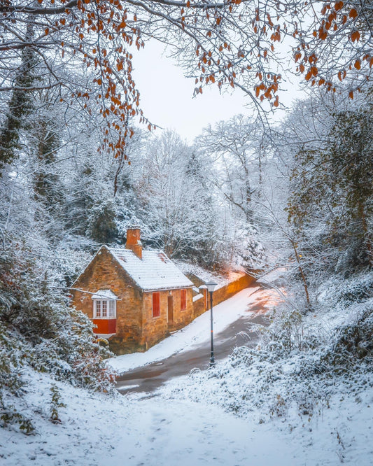 Snowfall at the Durham Cottage.