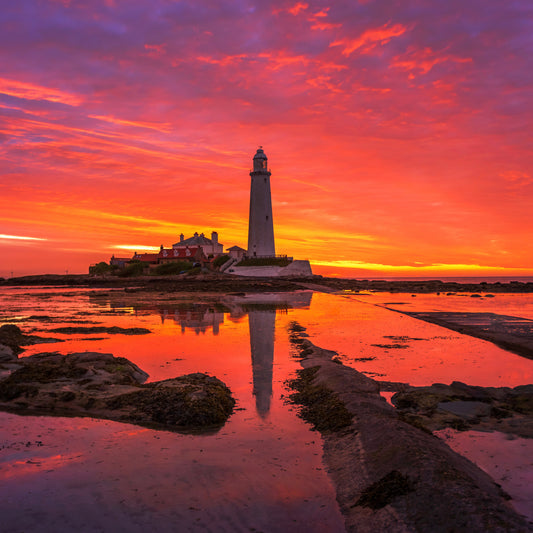 A gorgeous sunrise at St. Mary’s lighthouse.