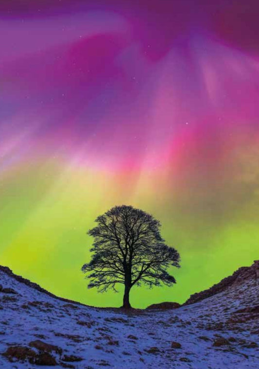 Aurora at Sycamore Gap