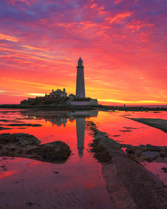 Vibrant sunrise colours at St. Mary’s Lighthouse. Portrait