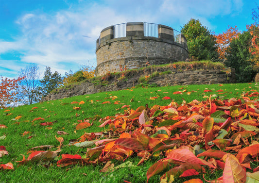 An autumn day in Wharton Park.