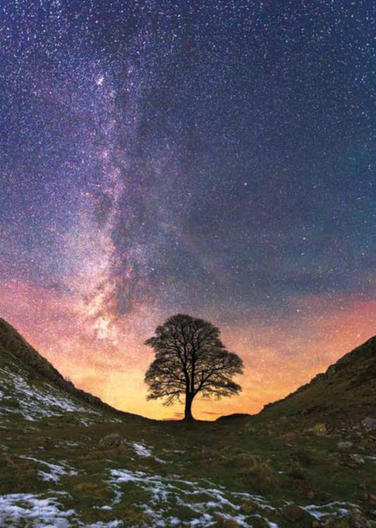 Sycamore Gap and the Milky Way