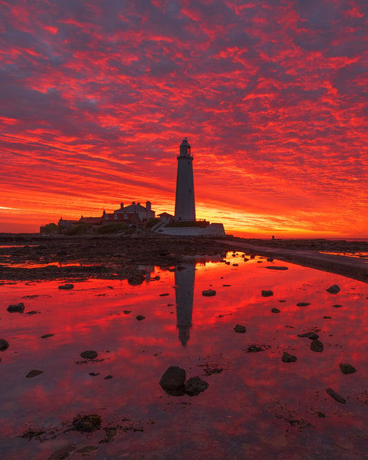Glorious sunrise colours at St. Mary’s Lighthouse.