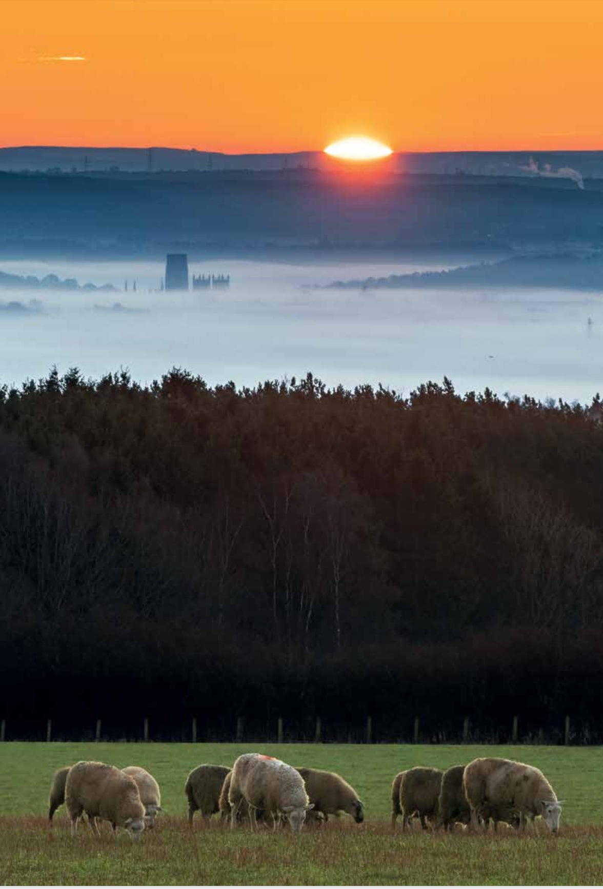 Limited edition Stevielandscapes Durham calendar 2025 with free A4 print of my Elvet Bridge sunset featured on the front cover.