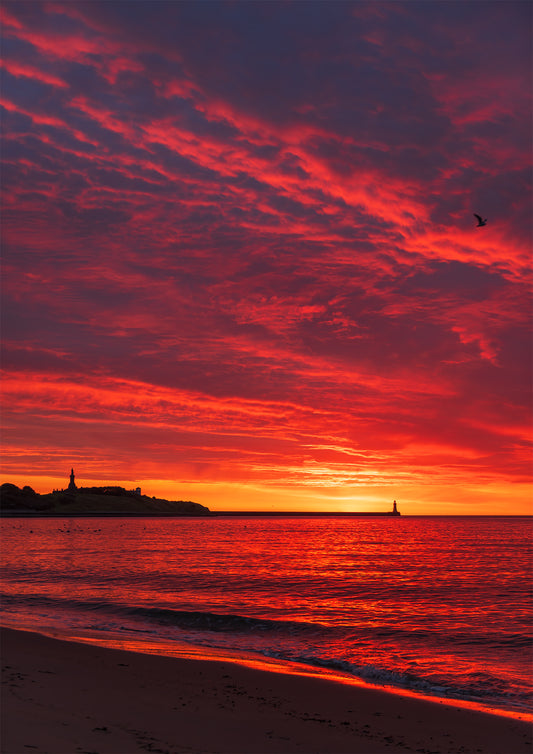 A dramatic and beautiful sunrise from the Mouth of the Tyne 😍