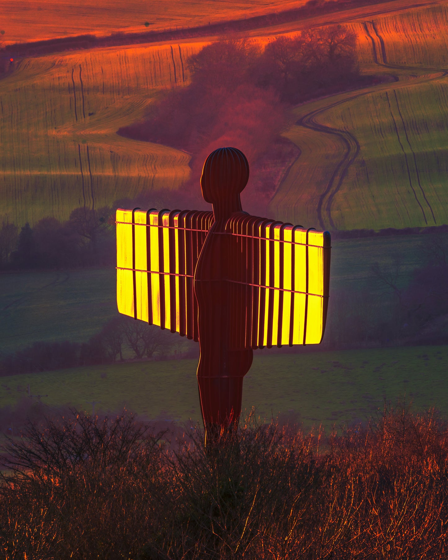 Golden Angel in the Golden Hour