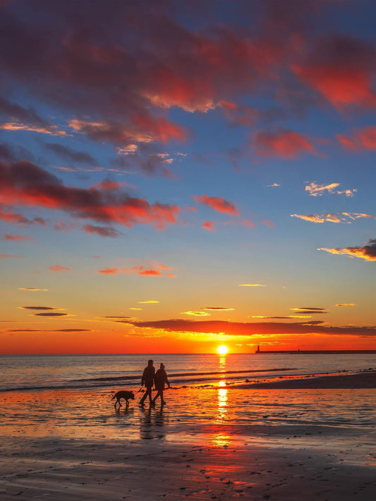 A pooch enjoying a beautiful sunrise at Tynemouth.