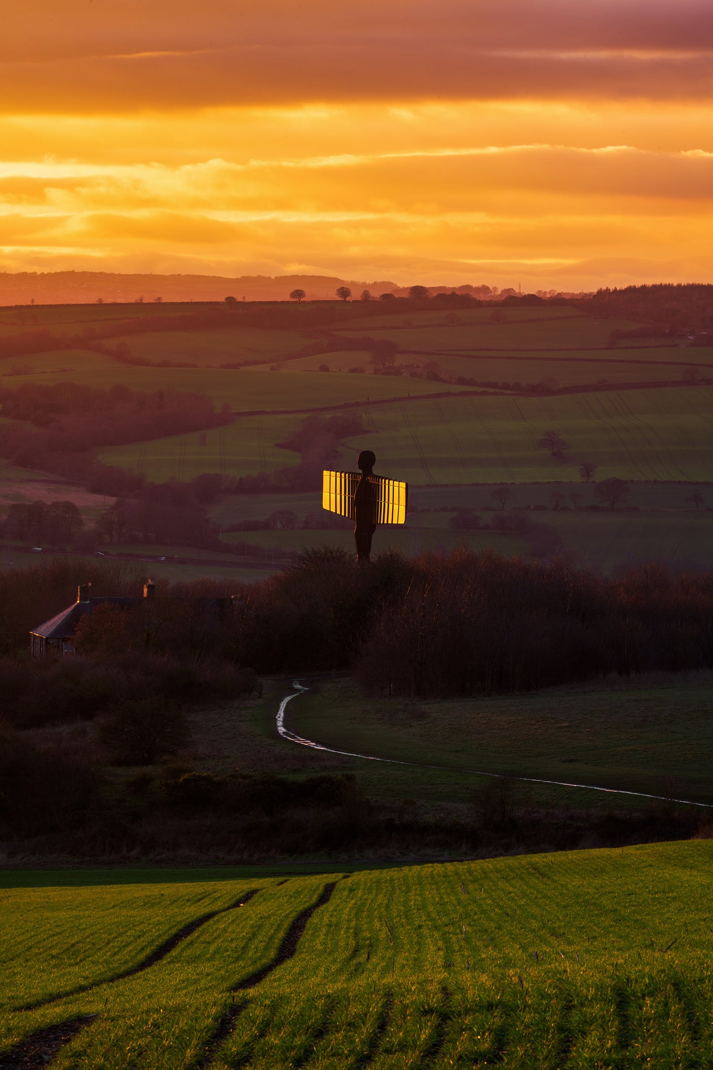 Golden Light on the Angel of the North at sunset