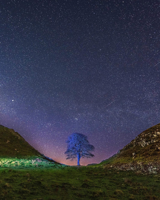Sycamore Gap Feeling Blue
