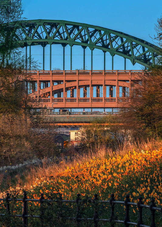 A beautiful spring evening in Newcastle