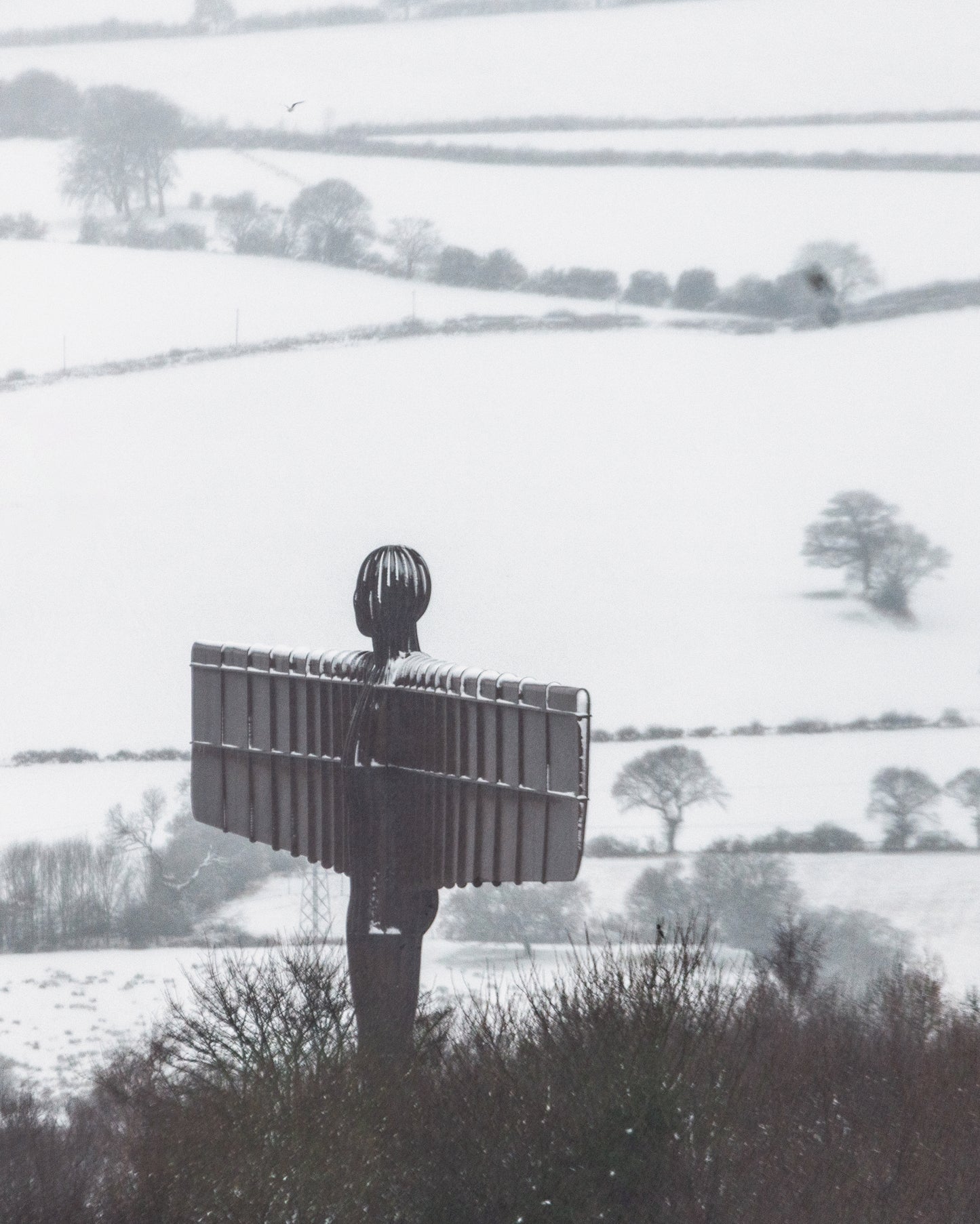 A Winter Wonderland at the Angel of the North.