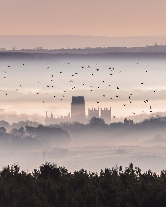 Birds flying across a misty Durham Cathedral