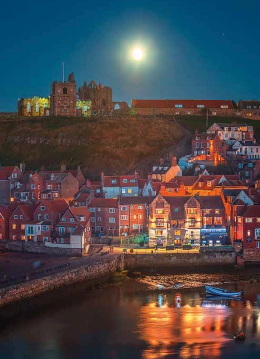 Whitby under the moonlight