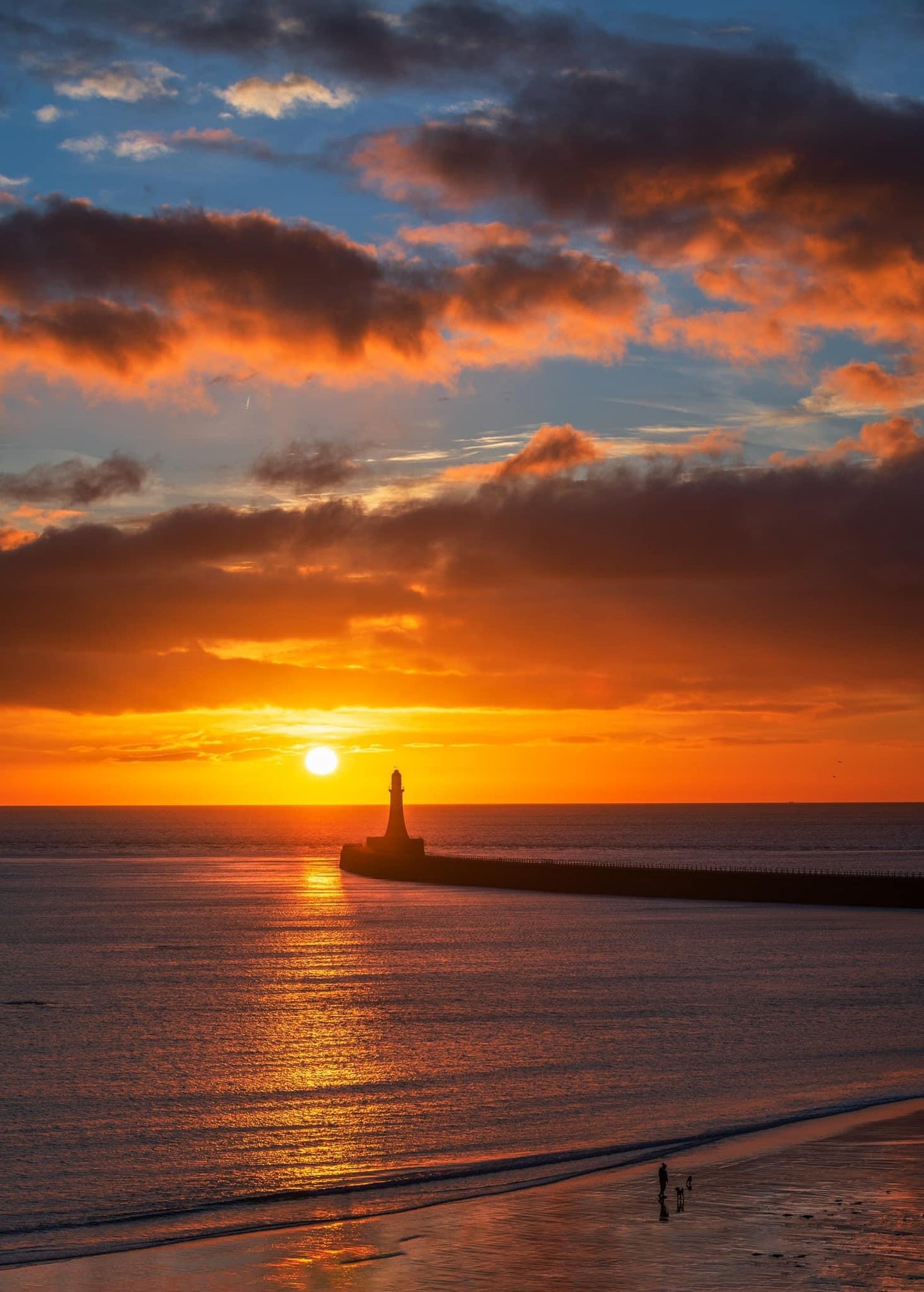 One man, two dogs and a Roker Sunrise.