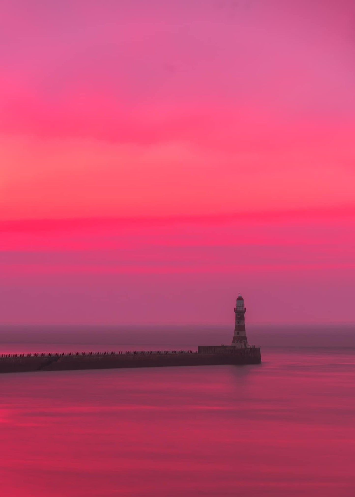 Roker in the pink