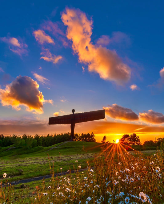 In with the daisies at the Angel of the North