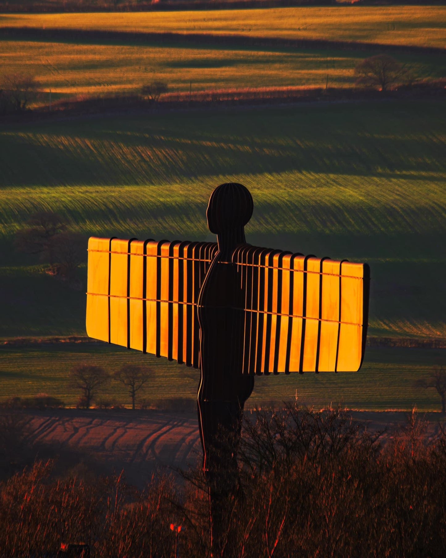 Angel of the North glowing in the golden hour.