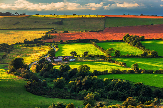 A typical summer scene in County Durham.