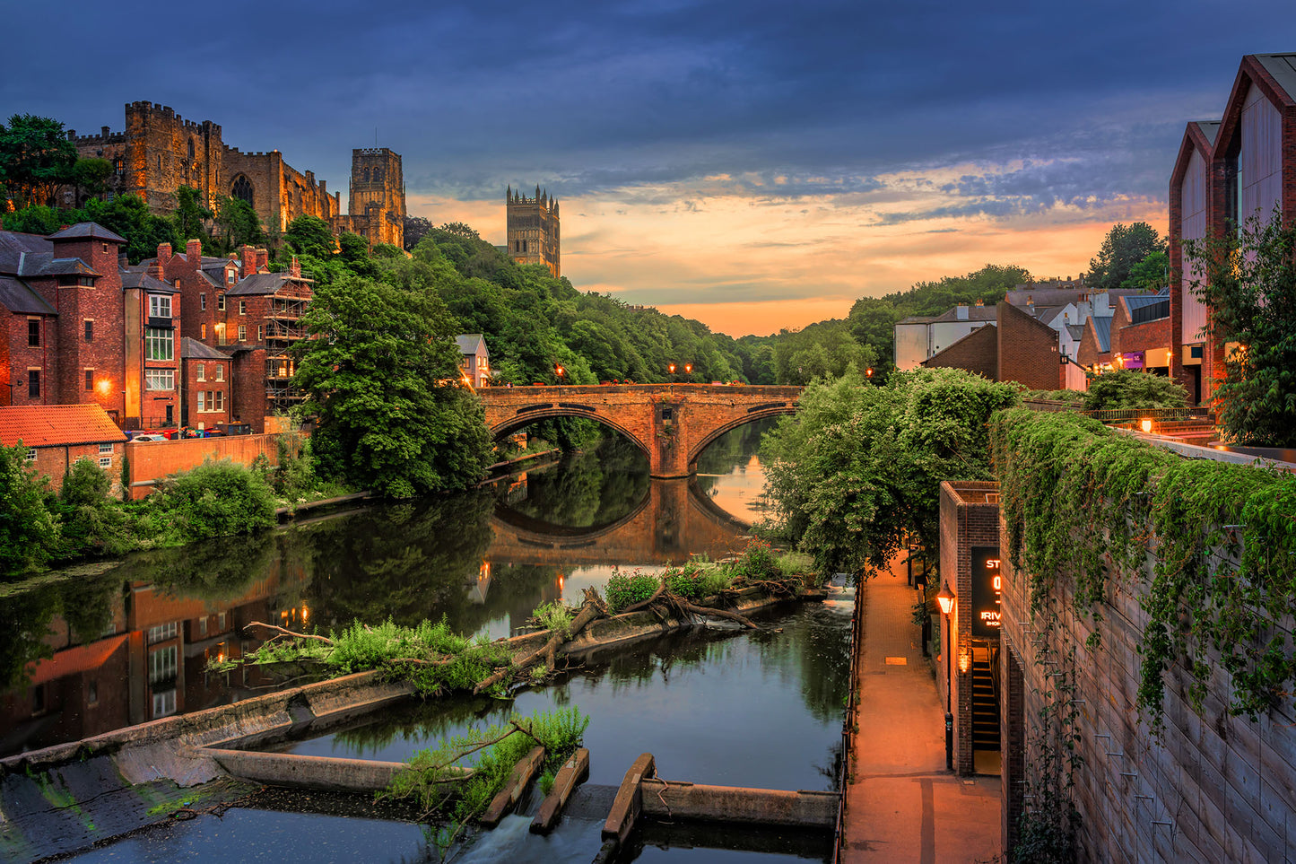 Durham consumed by nature, in the summer.